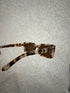 Women Classic Square High Quality Sunglasses